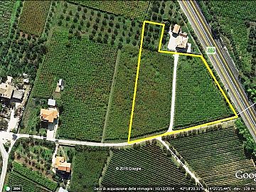 Terreno Agricolo in vendita a San Vito Chietino (CH) contrada sciutico foto 10