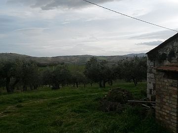 Terreno Agricolo in vendita a Montenero di Bisaccia (CB) contrada colle delle ginestre foto 6