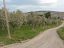 Terreno Agricolo in vendita a Montenero di Bisaccia (CB) contrada colle delle ginestre foto 8