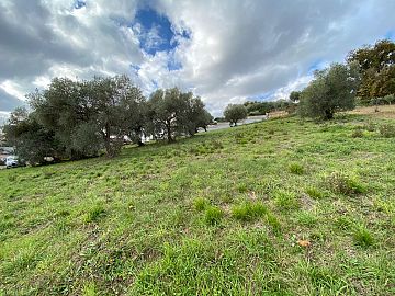 Terreno Edificabile Res. in vendita a Torrevecchia Teatina (CH) via palermo foto 1