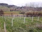 Vendita Terreno Agricolo in V a Villamagna