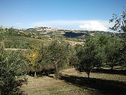 Vendita Terreno Agricolo in V a Bucchianico