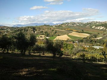 Terreno Agricolo in vendita a Bucchianico (CH) C.da Costa Cola foto 3