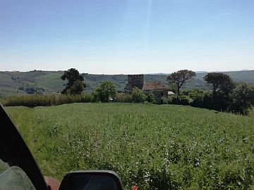 Terreno Agricolo in vendita a Penne (PE)  foto 4