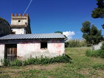 Terreno Agricolo in vendita a Penne (PE)  foto 8