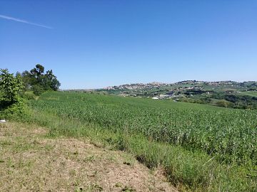 Terreno Agricolo in vendita a Penne (PE)  foto 3