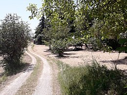 Vendita Casa indipendente in V a Bucchianico