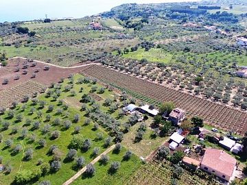 Terreno Agricolo in vendita a Ortona (CH)  foto 10