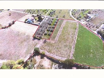 Terreno Agricolo in vendita a Ortona (CH)  foto 9
