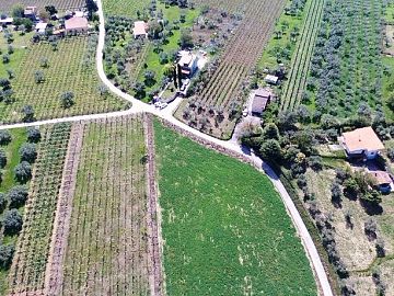 Terreno Agricolo in vendita a Ortona (CH)  foto 3