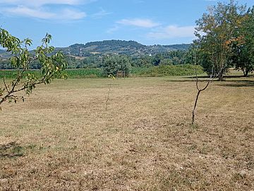 Terreno Edificabile Res. in vendita a Cepagatti (PE) via piemonte foto 16