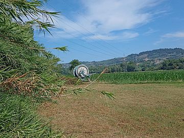 Terreno Edificabile Res. in vendita a Cepagatti (PE) via piemonte foto 9