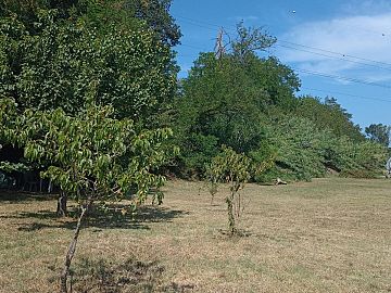 Terreno Edificabile Res. in vendita a Cepagatti (PE) via piemonte foto 13