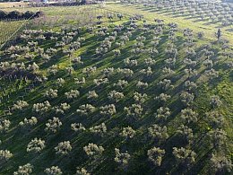 Vendita Terreno Edificabile Res. in V a Ripa Teatina