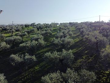 Terreno Edificabile Res. in vendita a Ripa Teatina (CH) via dante alighieri foto 2