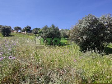 Terreno Edificabile Res. in vendita a Montesilvano (PE)  foto 13