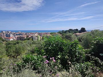Terreno Edificabile Res. in vendita a Montesilvano (PE)  foto 6