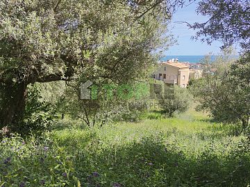 Terreno Edificabile Res. in vendita a Montesilvano (PE)  foto 3