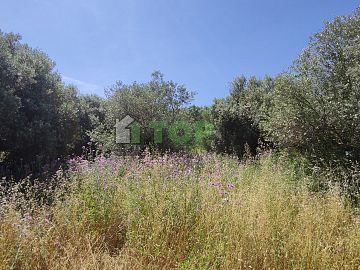 Terreno Edificabile Res. in vendita a Montesilvano (PE)  foto 9