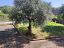 Villa in vendita a Bucchianico (CH)  foto 14
