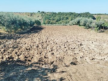 Villa in vendita a Casalbordino (CH) CONTRADA VERDUGIA foto 21