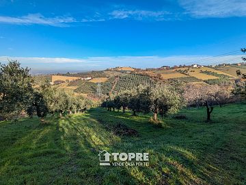 Terreno Agricolo in vendita a Casalincontrada (CH)  foto 4
