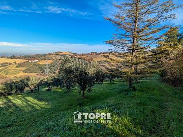 Terreno Agricolo in vendita a Casalincontrada (CH)  foto 3