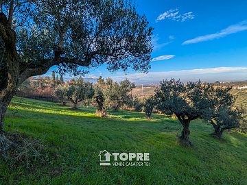 Terreno Agricolo in vendita a Casalincontrada (CH)  foto 13