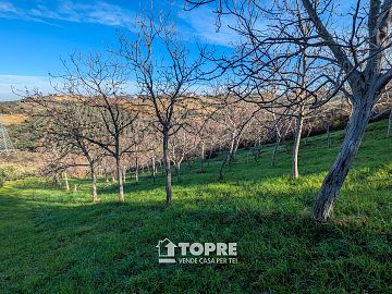 Terreno Agricolo in vendita a Casalincontrada (CH)  foto 10