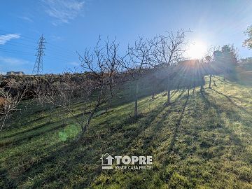 Terreno Agricolo in vendita a Casalincontrada (CH)  foto 14