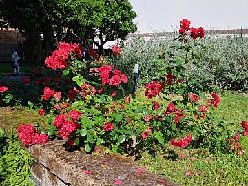 Villa in vendita a Chieti (CH)  foto 7