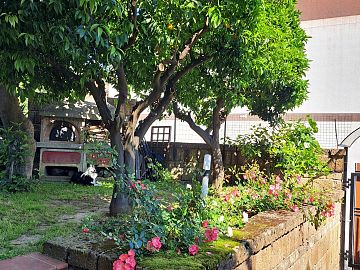 Villa in vendita a Chieti (CH)  foto 11