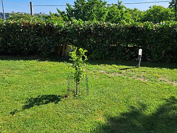 Villa in vendita a Chieti (CH)  foto 6