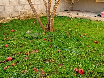 Casa indipendente in vendita a Casalbordino (CH) Via Miracoli foto 7