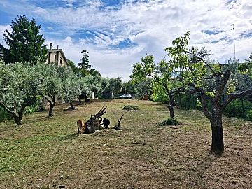 Terreno Agricolo in vendita a Chieti (CH) via fonte ricciuti foto 3