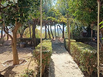 Appartamento in affitto a Chieti (CH) strada grotte foto 19