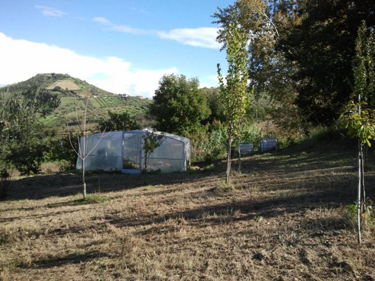 Terreno Agricolo in vendita in C.da Costa Cola  a Bucchianico - 14488 foto 5