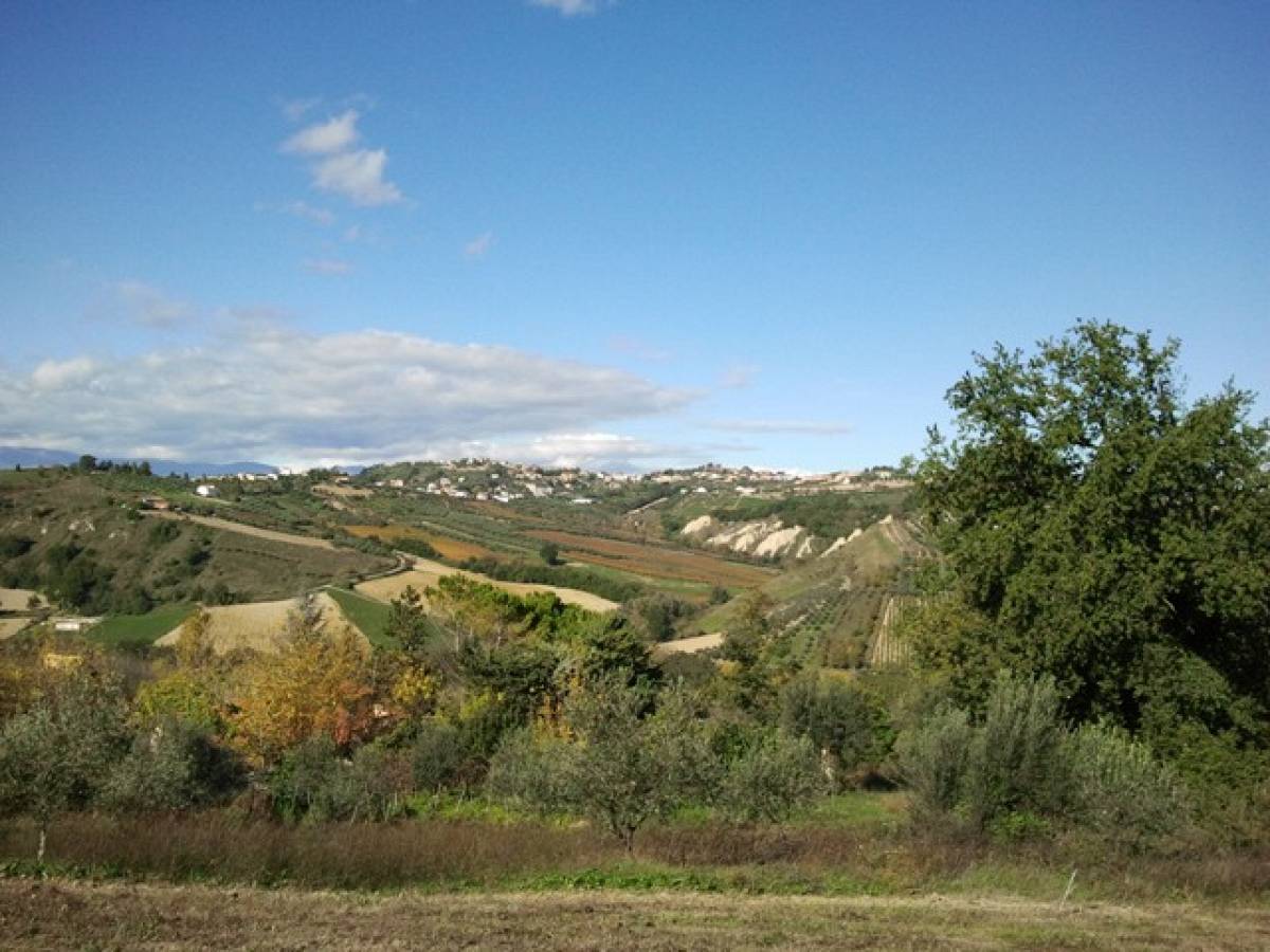 Terreno Agricolo in vendita in C.da Costa Cola  a Bucchianico - 14488 foto 6