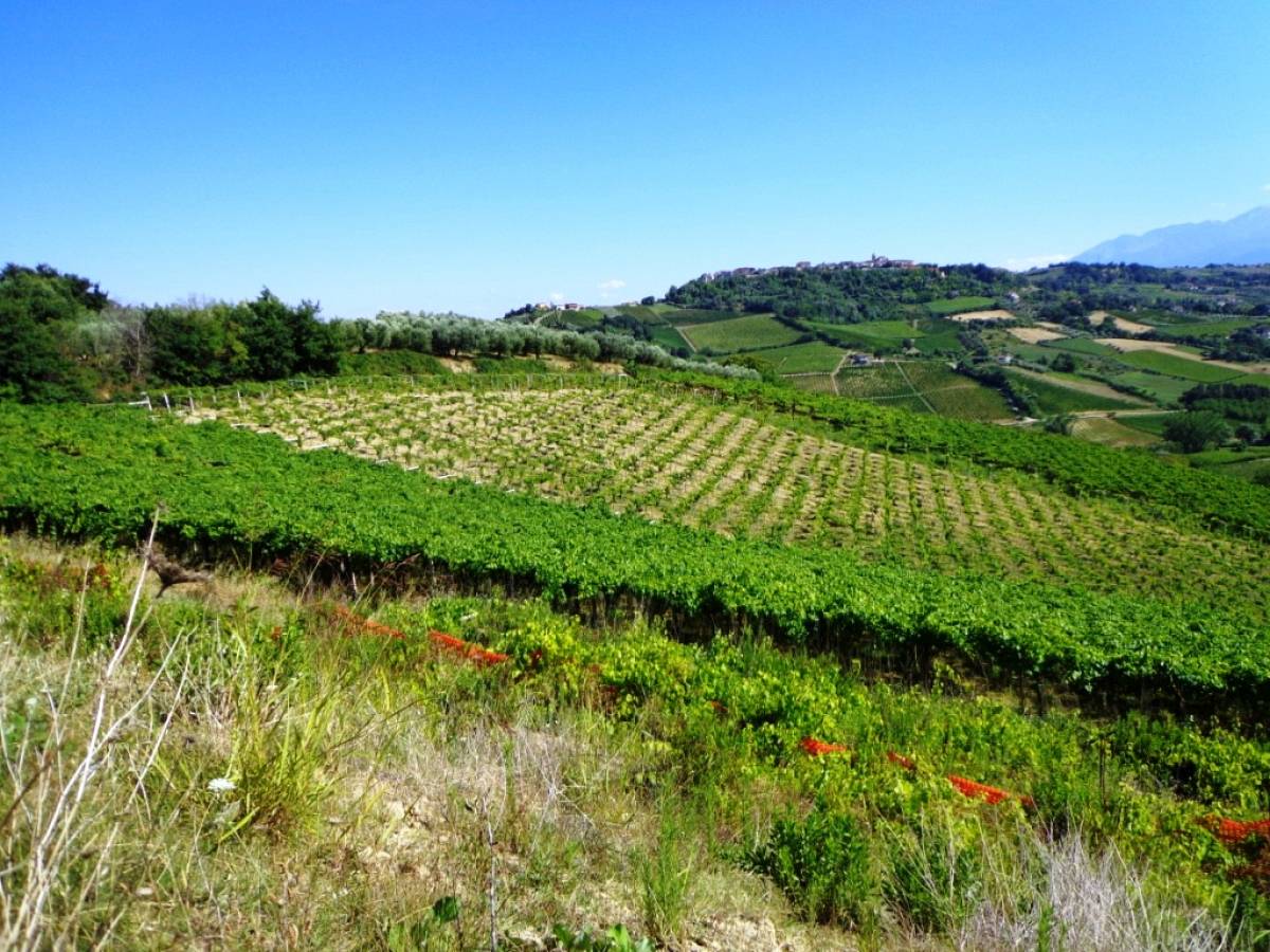 Farmland for sale in contrada santo stefano  at Ripa Teatina - 380423 foto 1