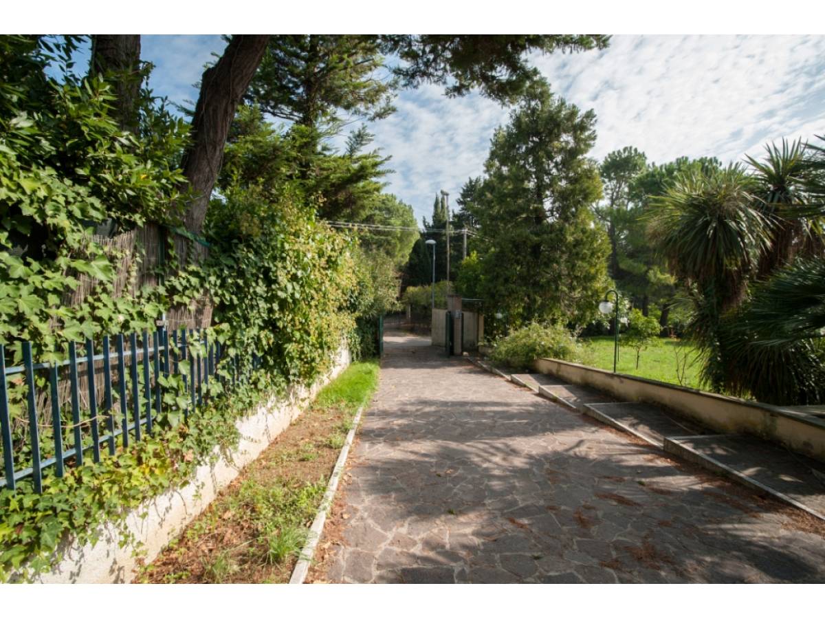 Villa for sale in strada comunale chiappinello  at Montesilvano - 824322 foto 18