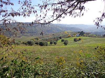 Terreno Agricolo in vendita a Bucchianico