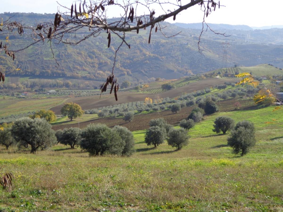 Farmland for sale in contrada iconicella  at Bucchianico - 850622 foto 2