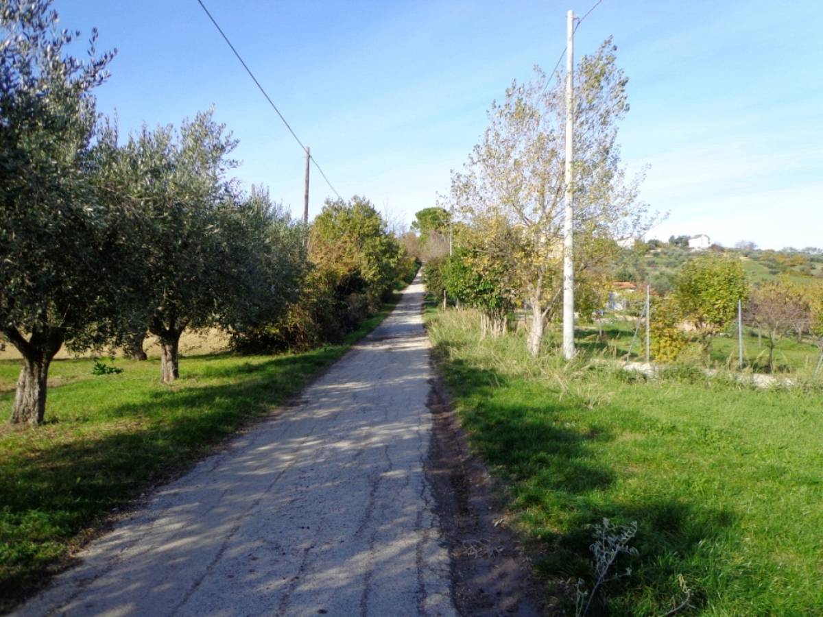 Farmland for sale in contrada iconicella  at Bucchianico - 850622 foto 3