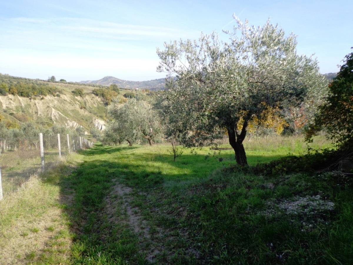 Farmland for sale in contrada iconicella  at Bucchianico - 850622 foto 4