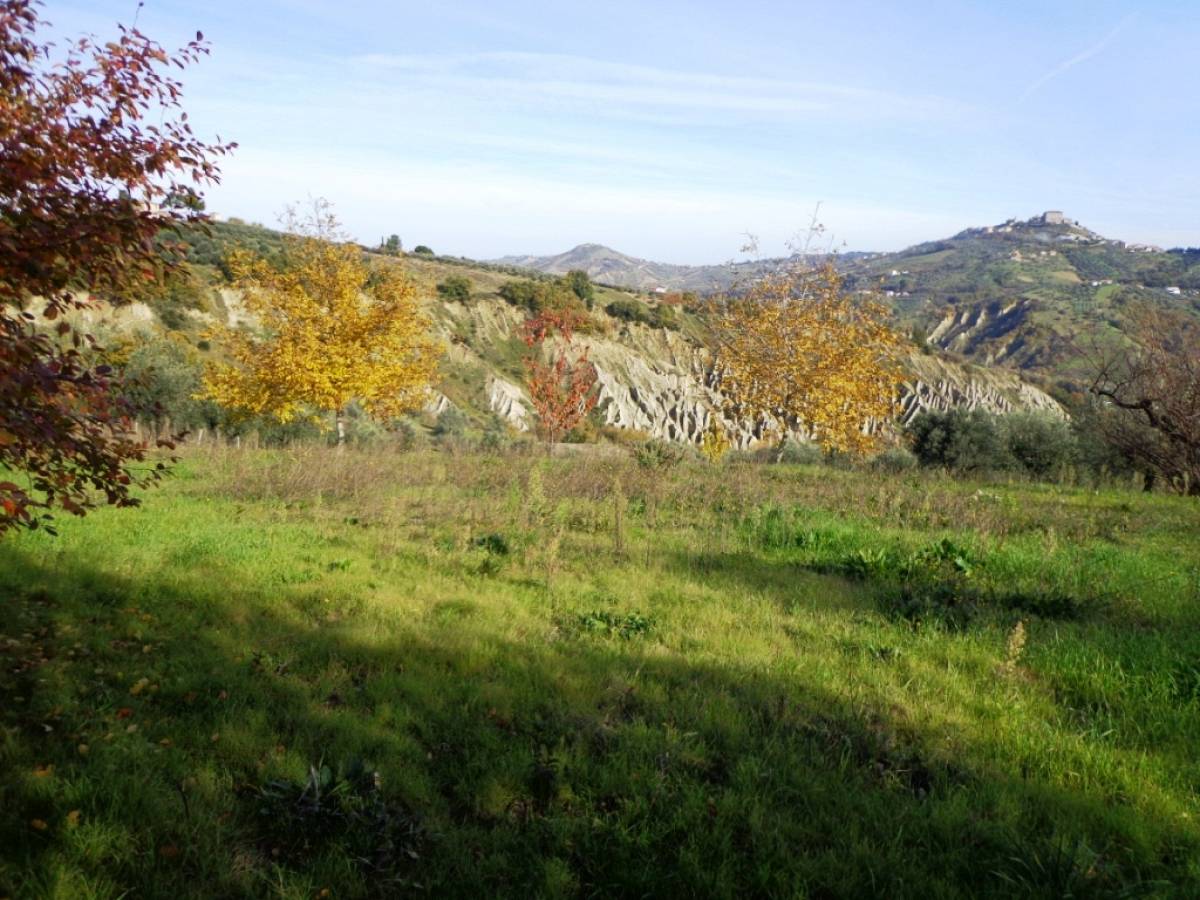 Farmland for sale in contrada iconicella  at Bucchianico - 850622 foto 5