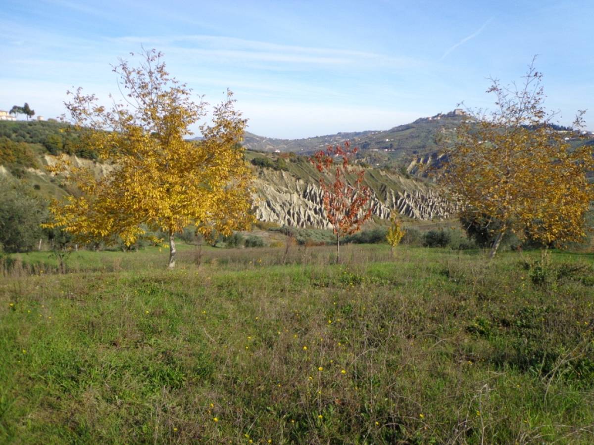 Farmland for sale in contrada iconicella  at Bucchianico - 850622 foto 6