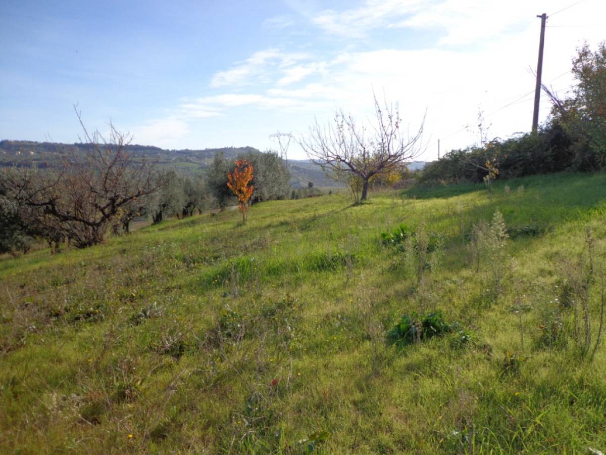 Farmland for sale in contrada iconicella  at Bucchianico - 850622 foto 7