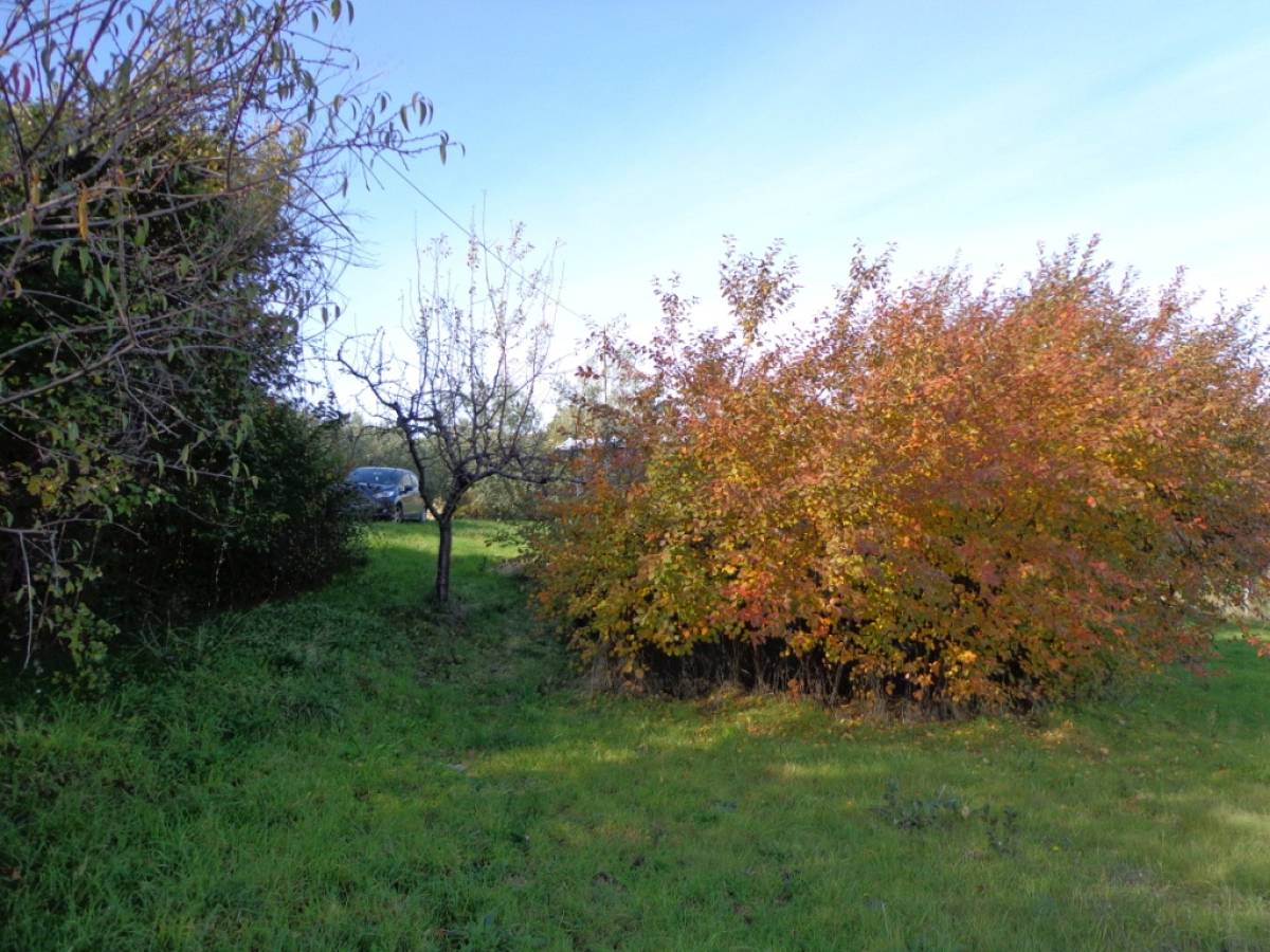 Farmland for sale in contrada iconicella  at Bucchianico - 850622 foto 8