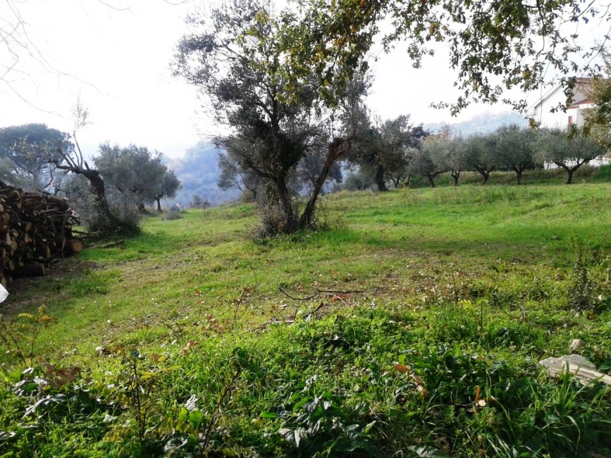 Farmland for sale in via alento strada comunale  at Casalincontrada - 513152 foto 1