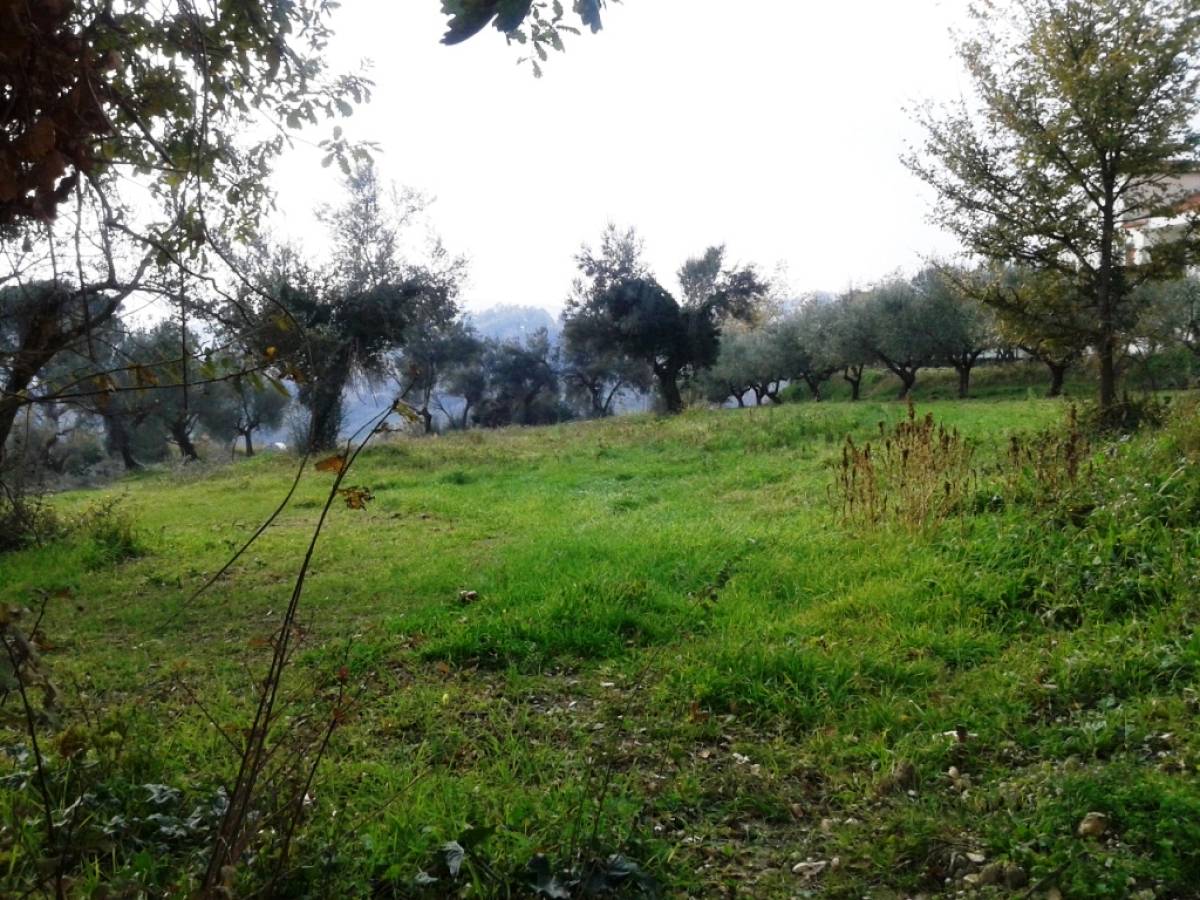 Farmland for sale in via alento strada comunale  at Casalincontrada - 513152 foto 2